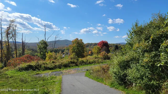 a view of a city with lots of plants and trees