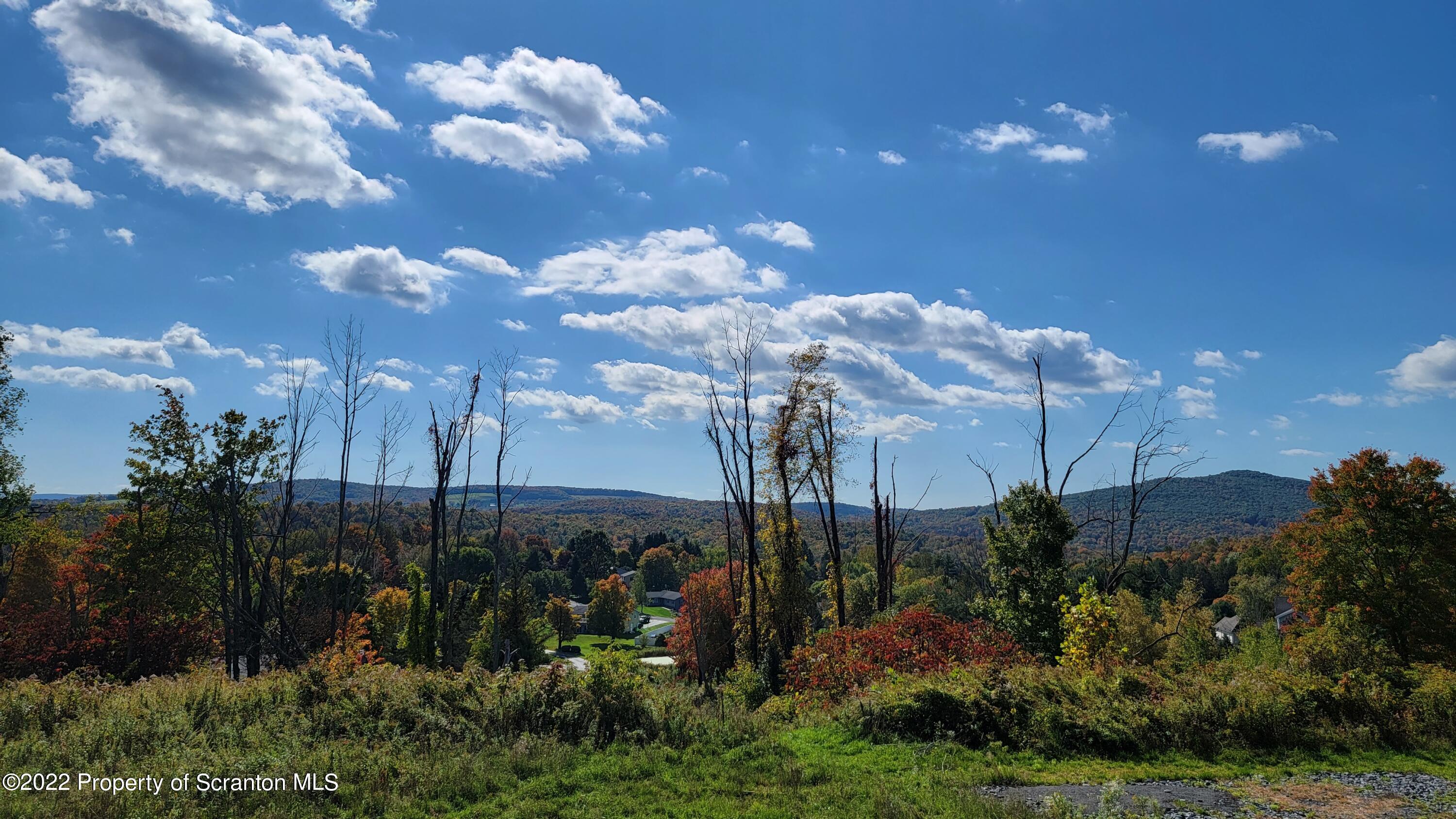 45 Highpoint Drive Factoryville, PA 18419 - Photo 15 of 22 a view of a city with lots of plants and trees