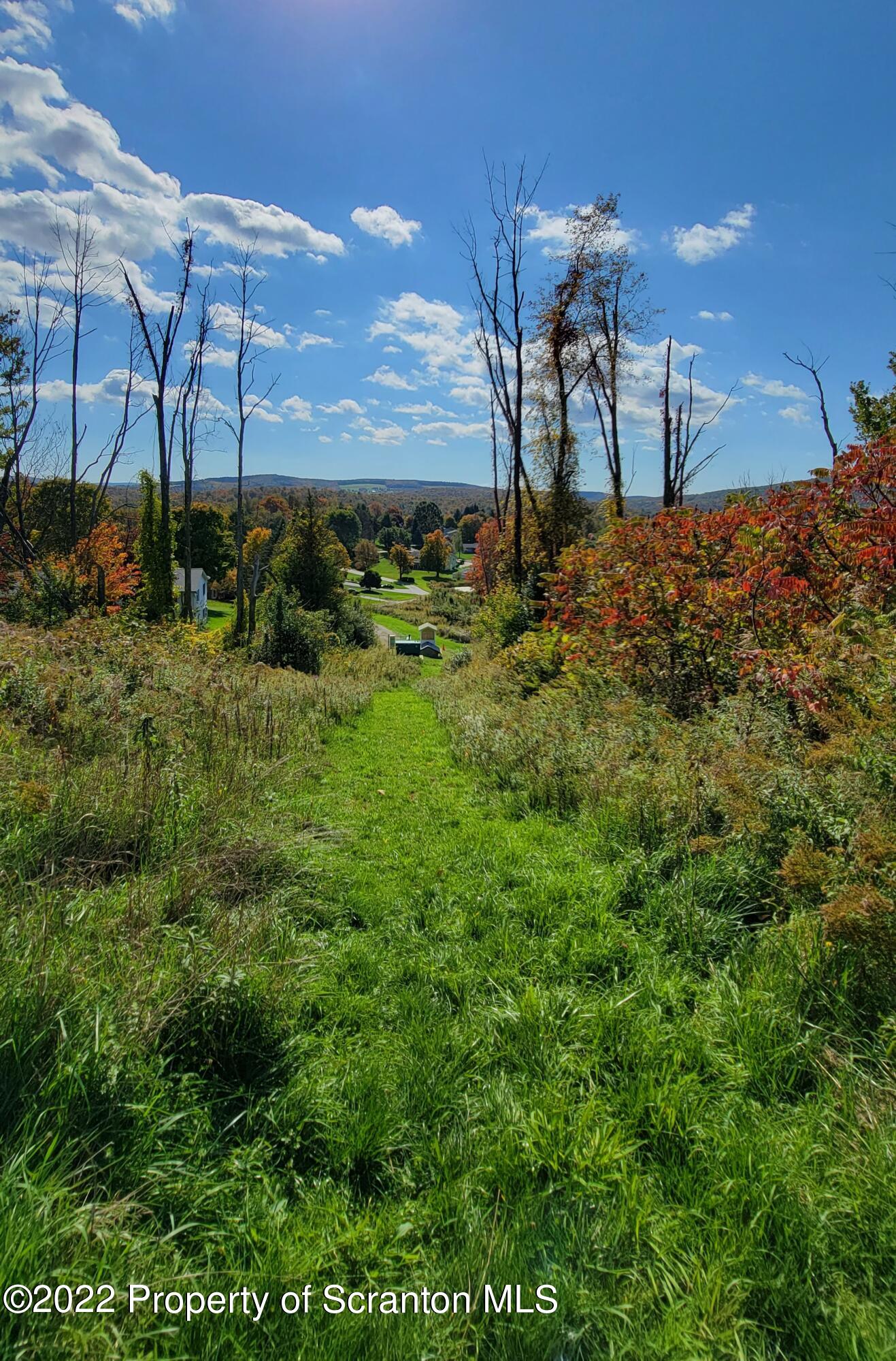 45 Highpoint Drive Factoryville, PA 18419 - Photo 19 of 22 a view of a backyard