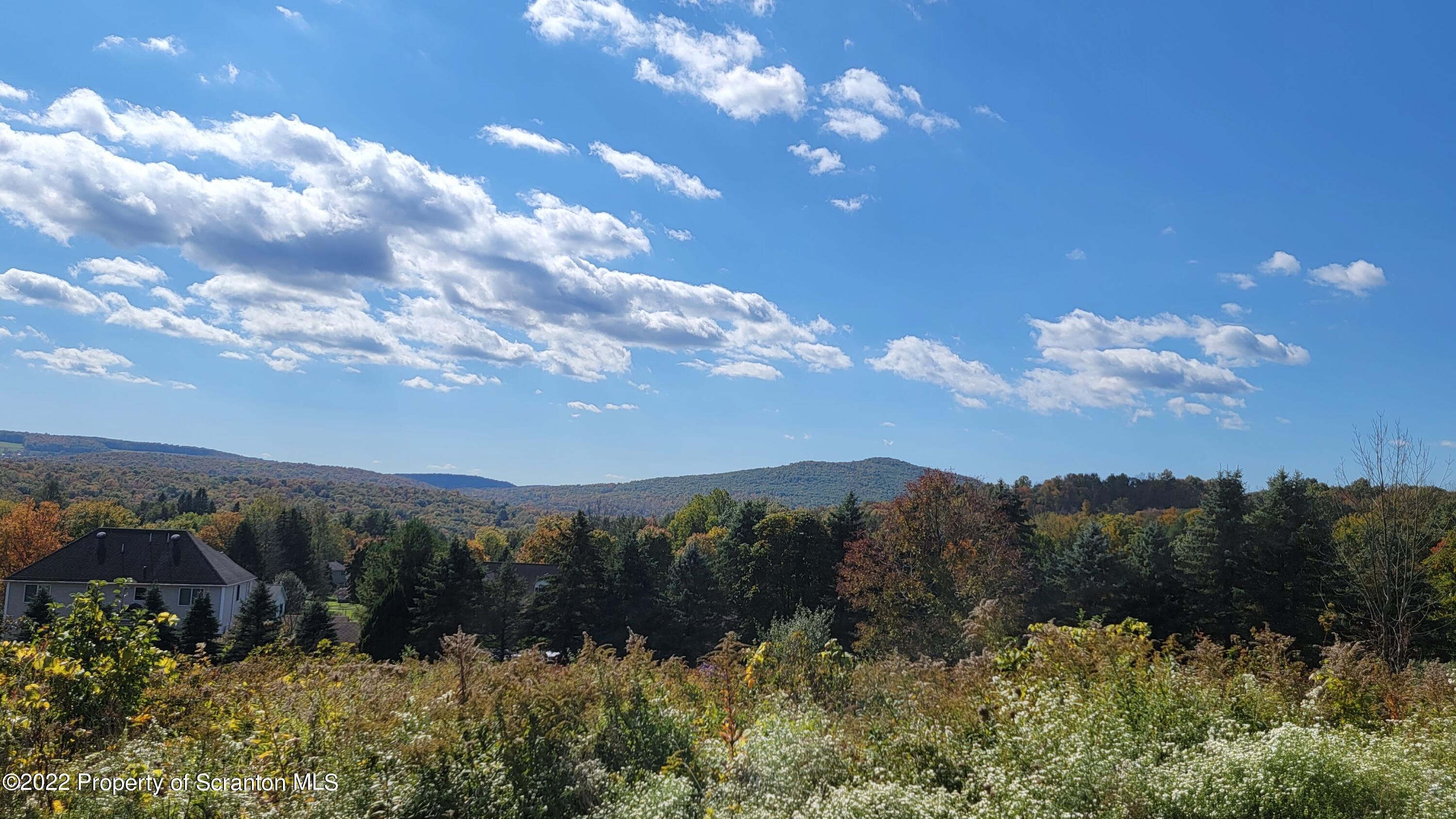 45 Highpoint Drive Factoryville, PA 18419 - Photo 21 of 22 a view of a lot of trees