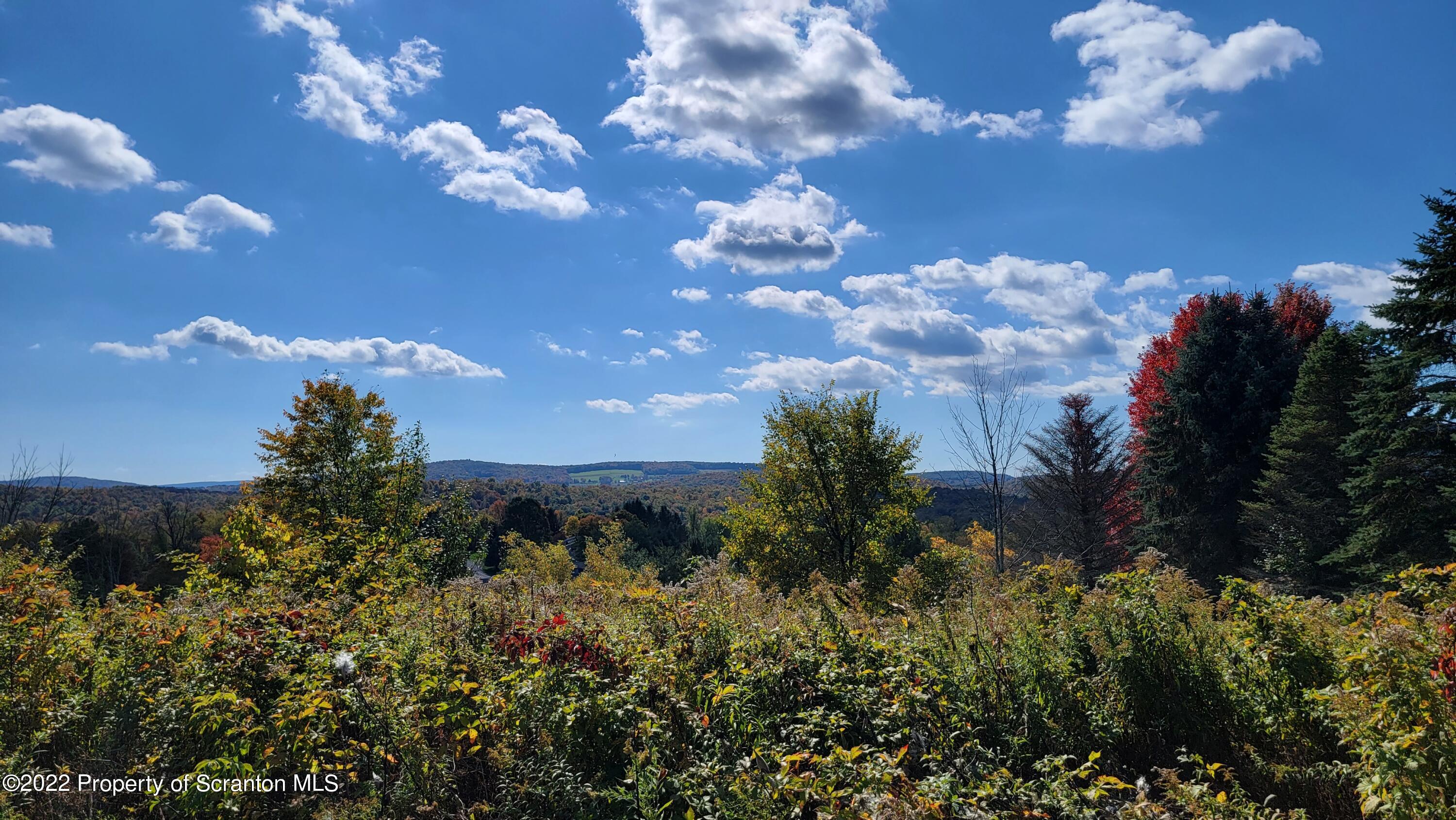 45 Highpoint Drive Factoryville, PA 18419 - Photo 4 of 22 a view of a house with a yard