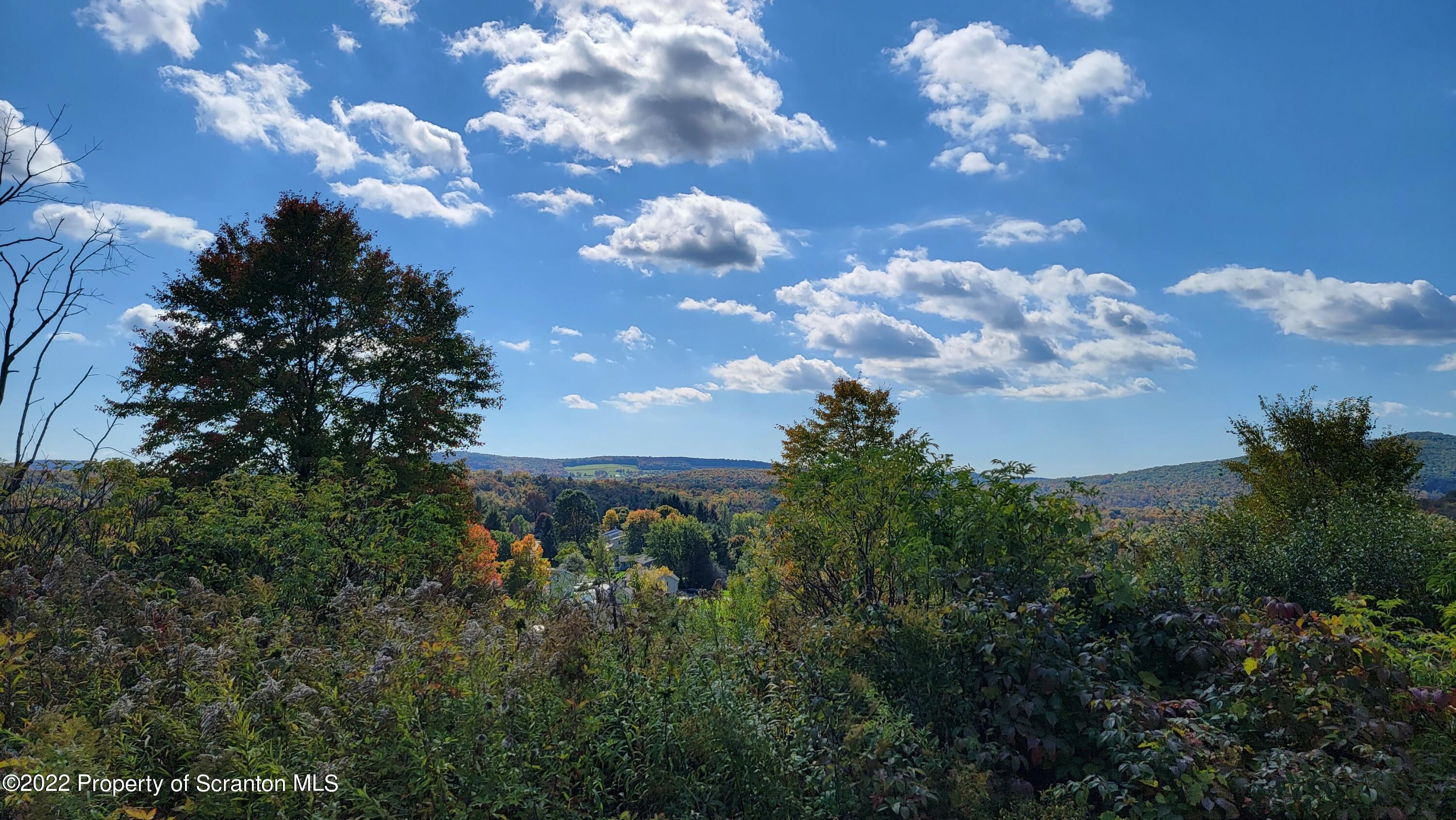 45 Highpoint Drive Factoryville, PA 18419 - Photo 6 of 22 a view of a city with lots of green space