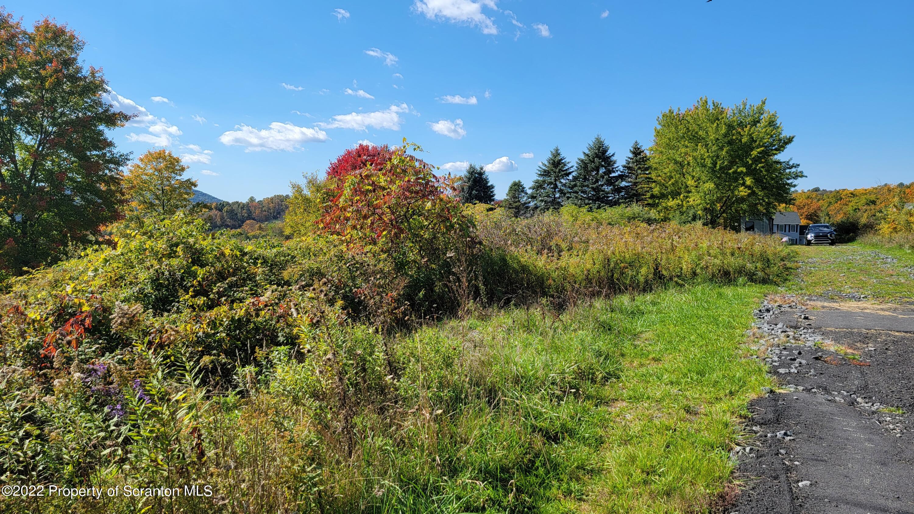 45 Highpoint Drive Factoryville, PA 18419 - Photo 8 of 22