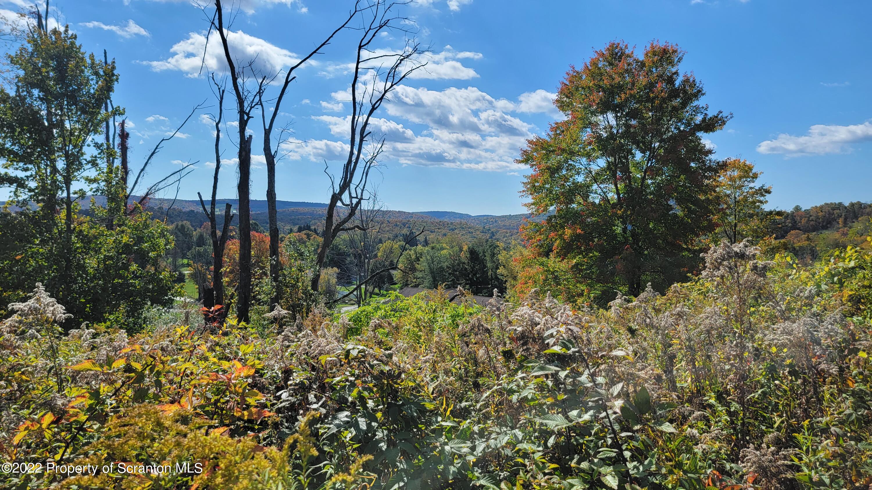 45 Highpoint Drive Factoryville, PA 18419 - Photo 9 of 22 a view of statue in the garden