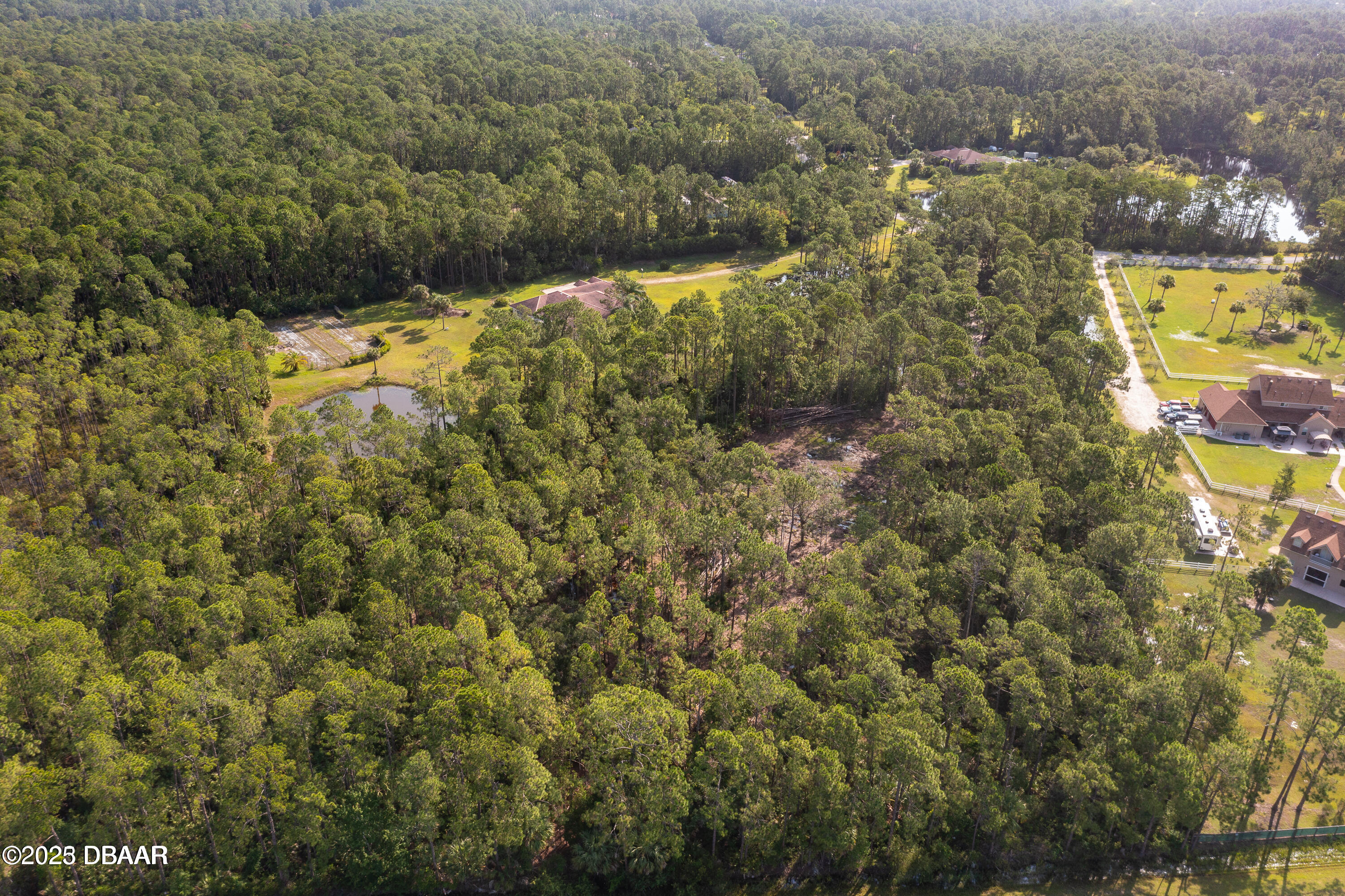 7 Remington Road Ormond Beach, FL 32174 - Photo 5 of 15 Partially Cleared
