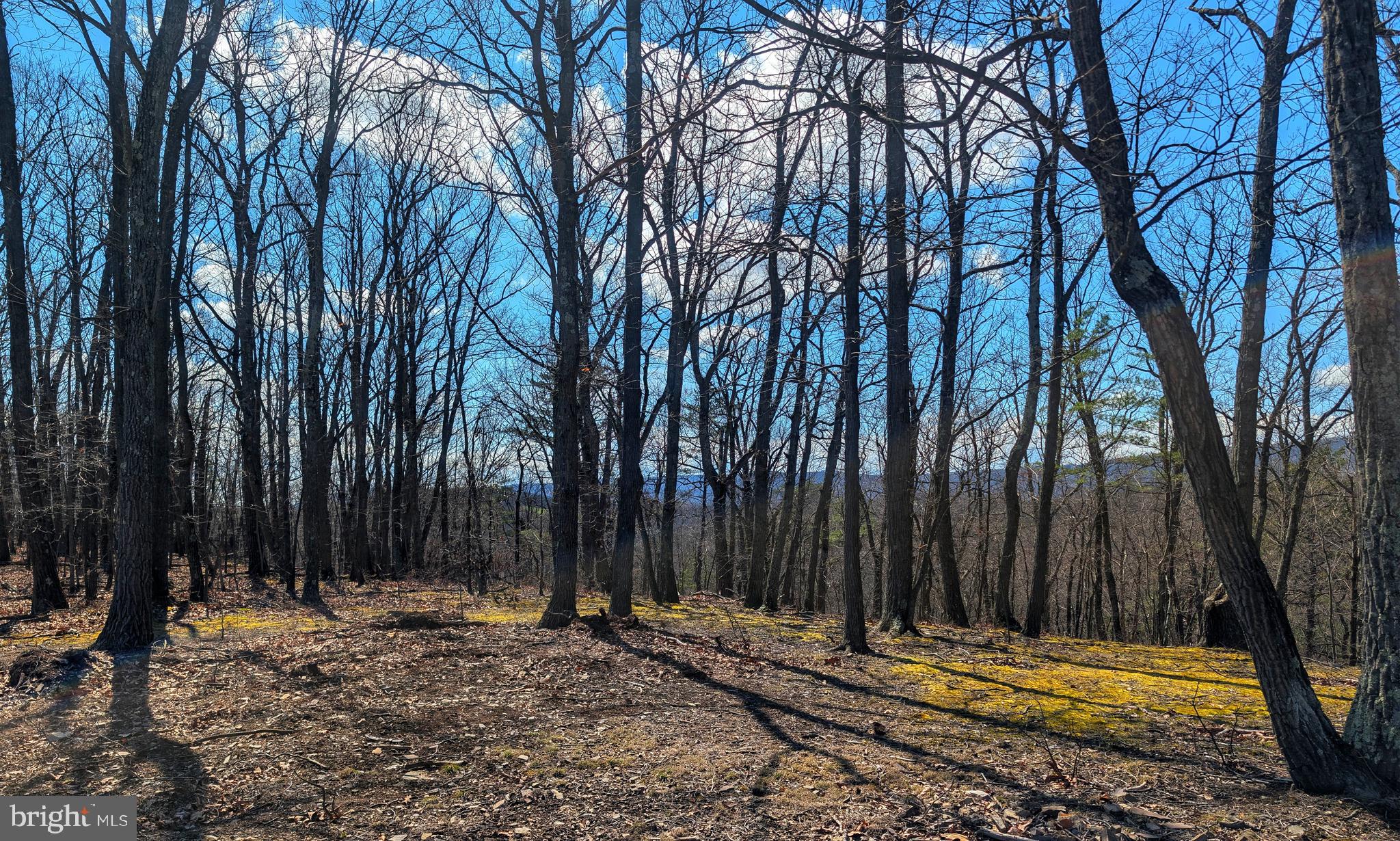 0 Pine Ridge Road James Creek, PA 16657 - Photo 20 of 23