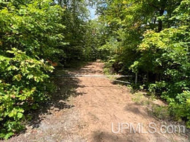 4 Lake Enchantment Road Marquette, MI 49855 - Photo 6 of 18