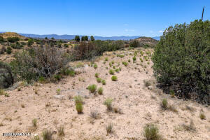 4835 Teepee Terrace, Unit 40 Rimrock, AZ 86335 - Photo 11 of 23 Lot View