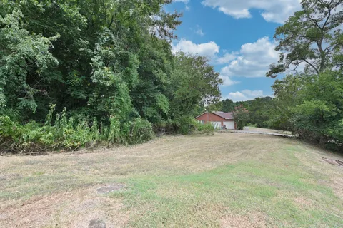 a view of a yard with a tree