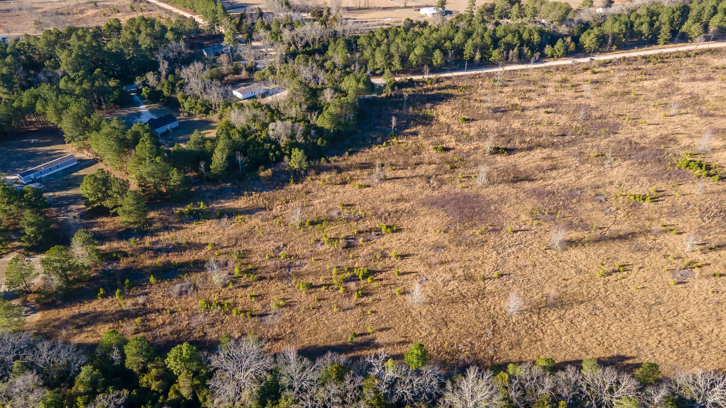Lot 4 Old Shoals Road Monetta, SC 29105 - Photo 3 of 18