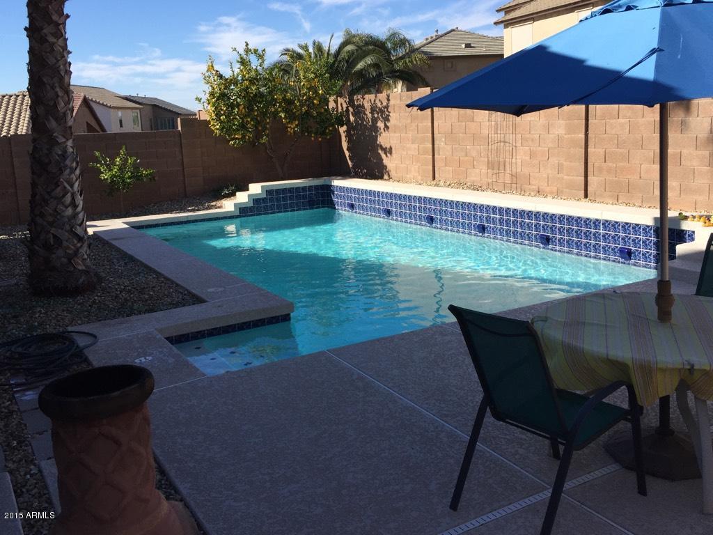 2218 West Peak View Road Phoenix, AZ 85085 - Photo 9 of 20 pool 1