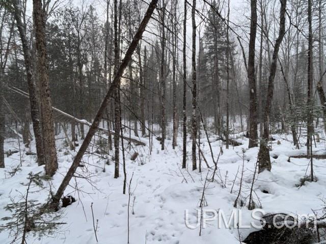 Tbd Rabbit Bay Road Lake Linden, MI 49945 - Photo 33 of 40 Gallery Image 33