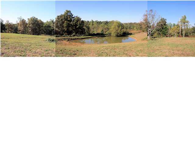 90 Salem Church Loop Road Bee Spring, KY 42207 - Photo 10 of 10 Additional Photo
