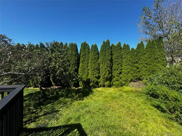 a view of a yard with a tree