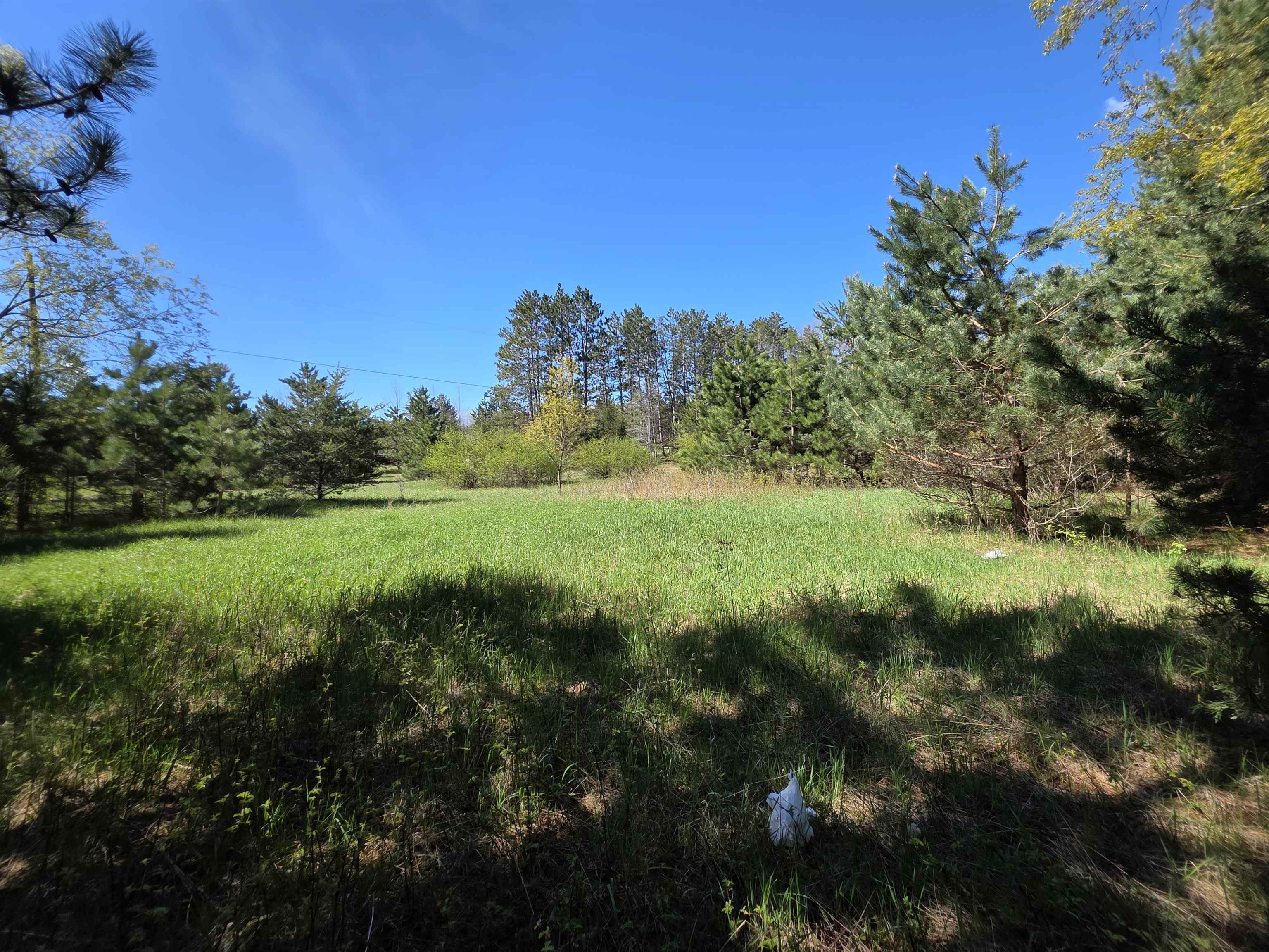 Vl 2-acres Arnold Road Manton, MI 49663 - Photo 5 of 15