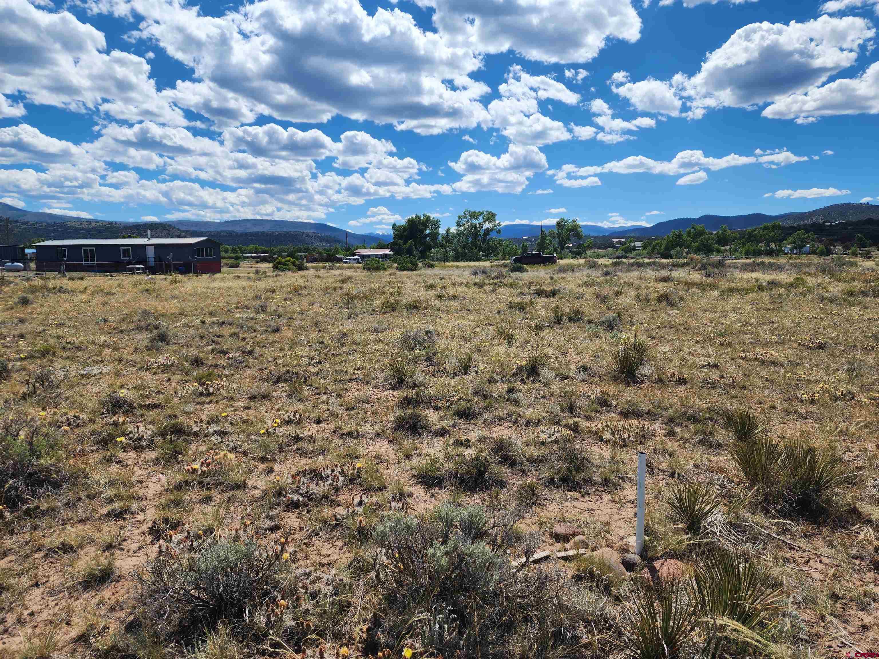 337 Pink Cloud Road South Fork, CO 81154 - Photo 4 of 10 a view of a bunch of trees