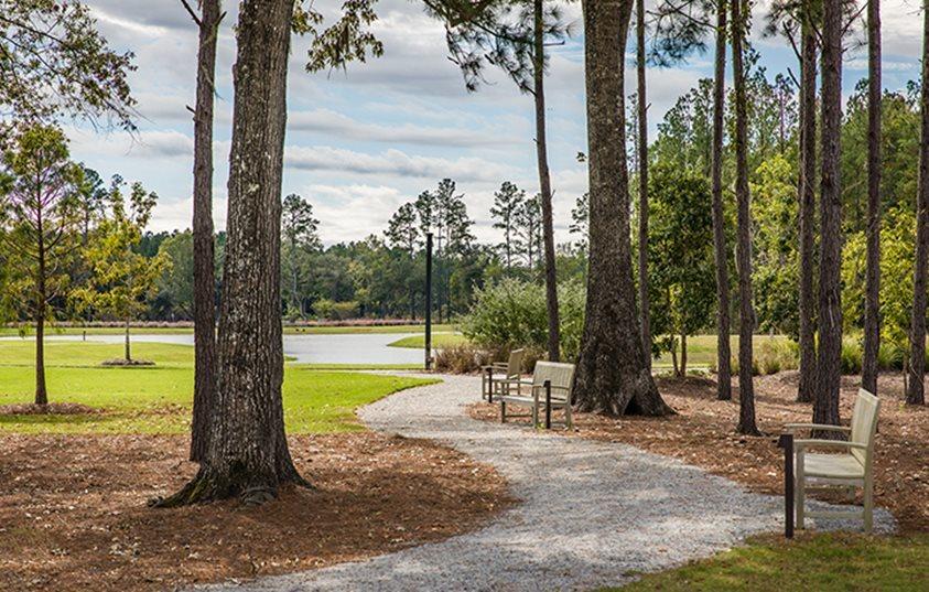 114 County Rd S-18-458 Summerville, SC 29485 - Photo 16 of 16 Walking Trails 2 722x460