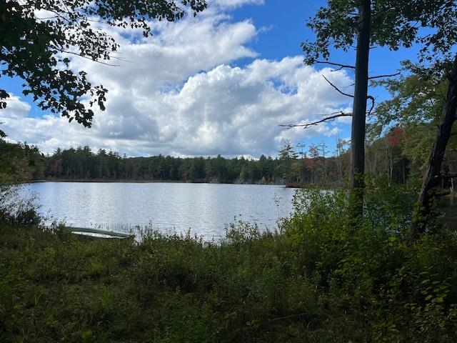 102 Collins Pond Road Fitzwilliam, NH 03447 - Photo 6 of 13 Gallery Image 6