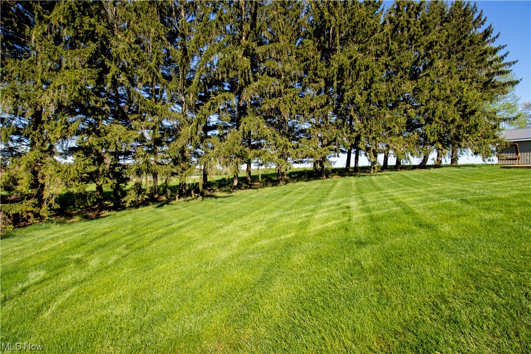 7400 Rice Hill Road Burbank, OH 44214 - Photo 30 of 34