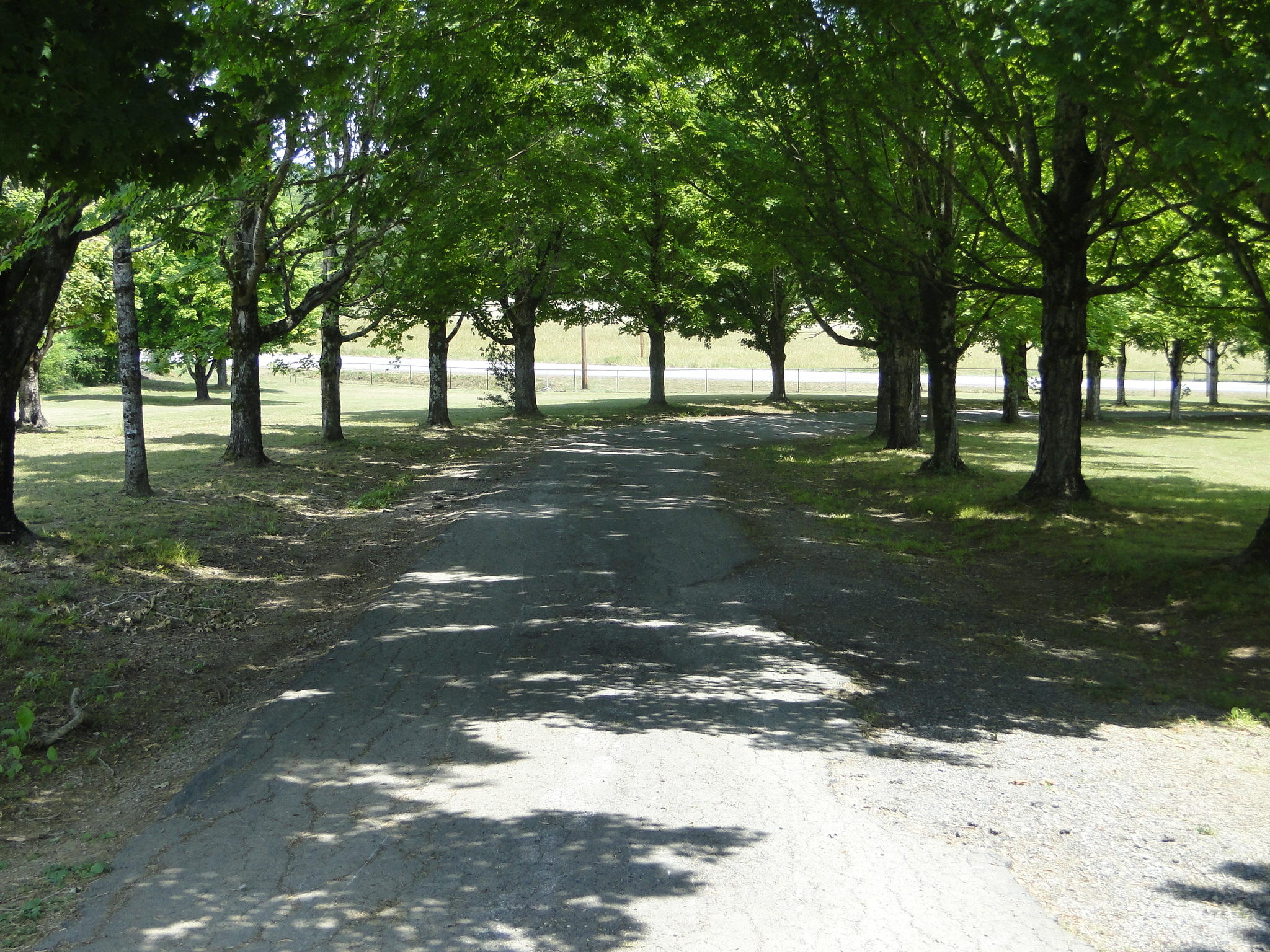 14785 Highway 58, Unit 58 Decatur, TN 37322 - Photo 8 of 37 DSC00704