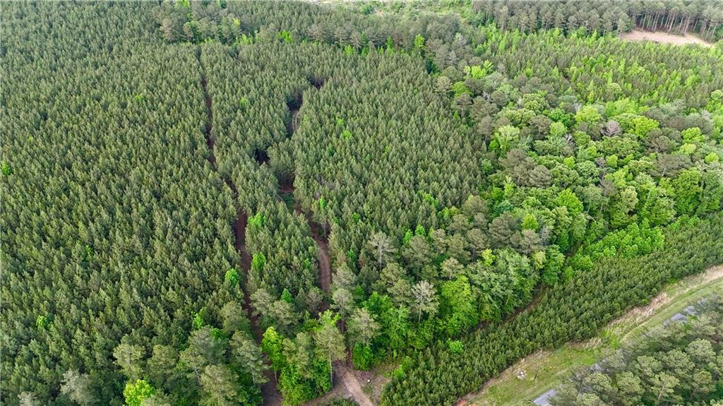 0 John Kay Road Taylorsville, GA 30178 - Photo 14 of 16 a view of a lush green forest