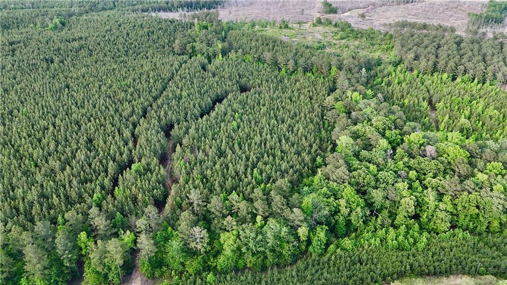 0 John Kay Road Taylorsville, GA 30178 - Photo 15 of 16 a view of a lush green forest