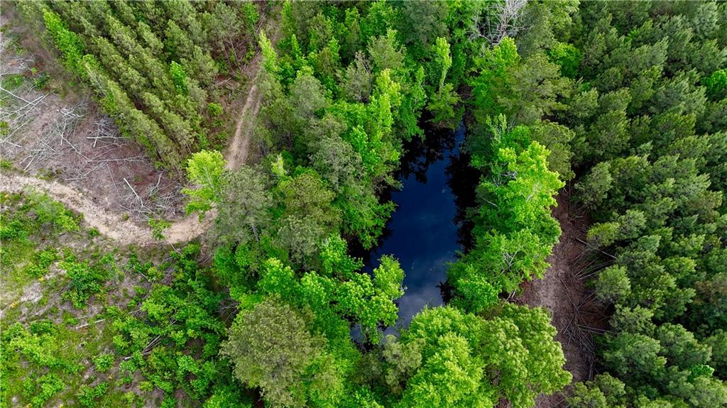 0 John Kay Road Taylorsville, GA 30178 - Photo 2 of 16 an aerial view of a house with a yard