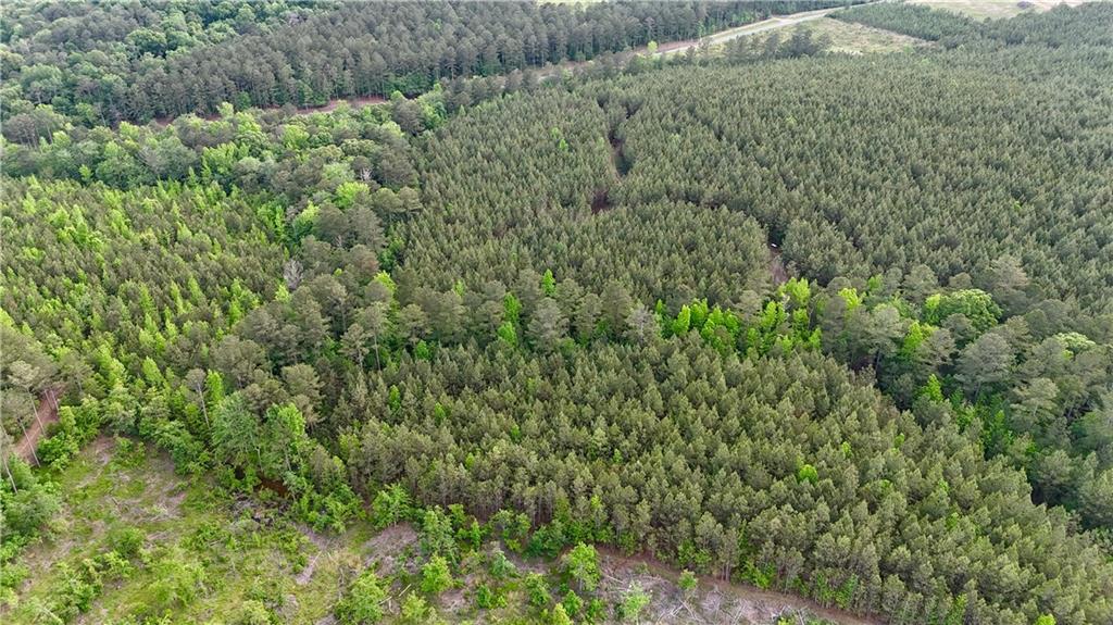 0 John Kay Road Taylorsville, GA 30178 - Photo 10 of 16 a view of a lush green forest with large trees