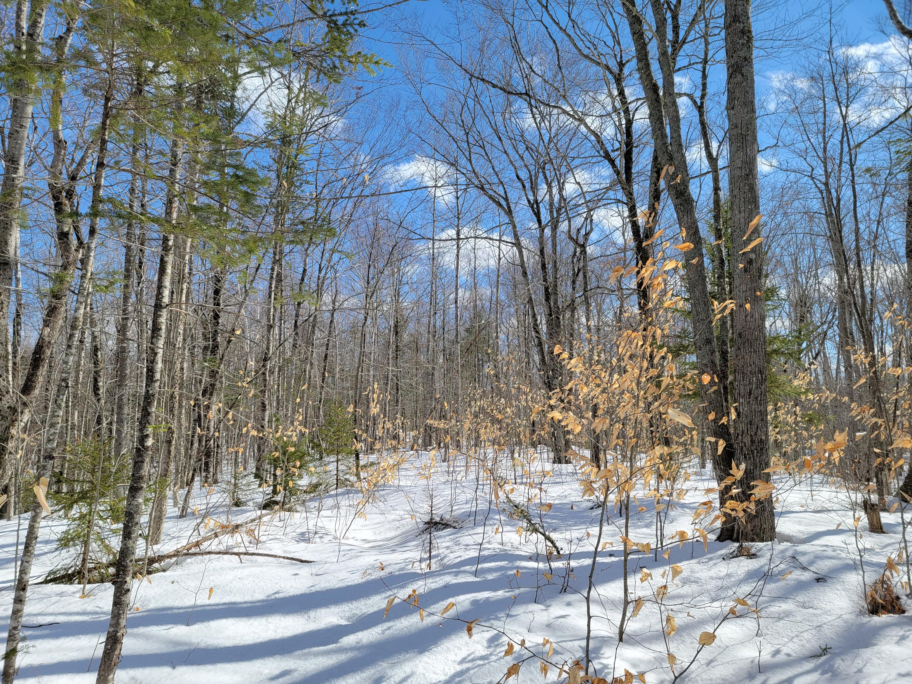 M3-l8a Roxbury Notch Road Roxbury, ME 04275 - Photo 19 of 37 Roxbury Notch Lot 8A