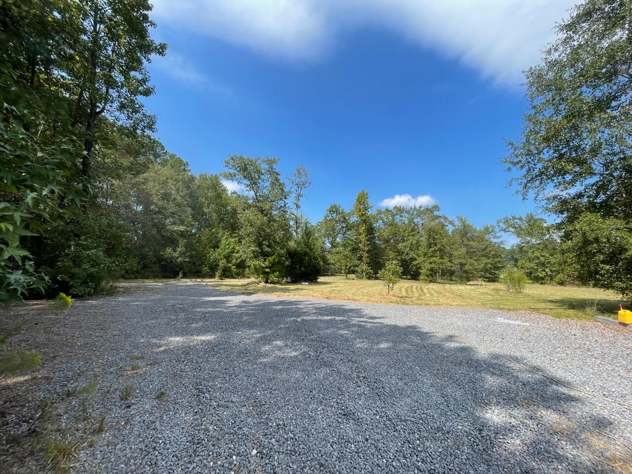 1563 Highway 311 Cross, SC 29436 - Photo 33 of 33 Driveway view toward street