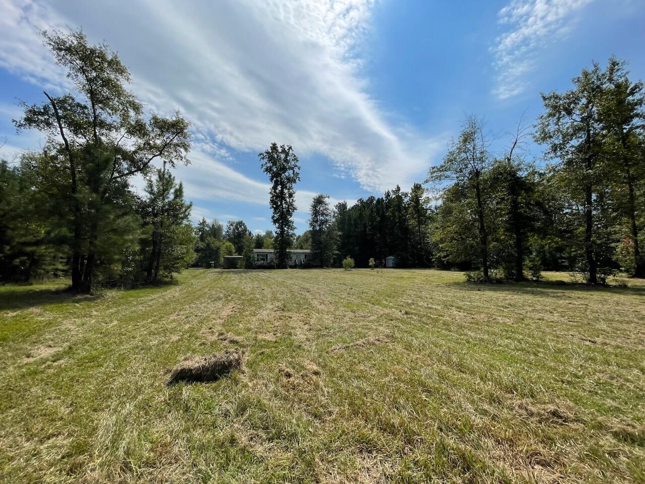 1563 Highway 311 Cross, SC 29436 - Photo 4 of 33 Driveway View from Street