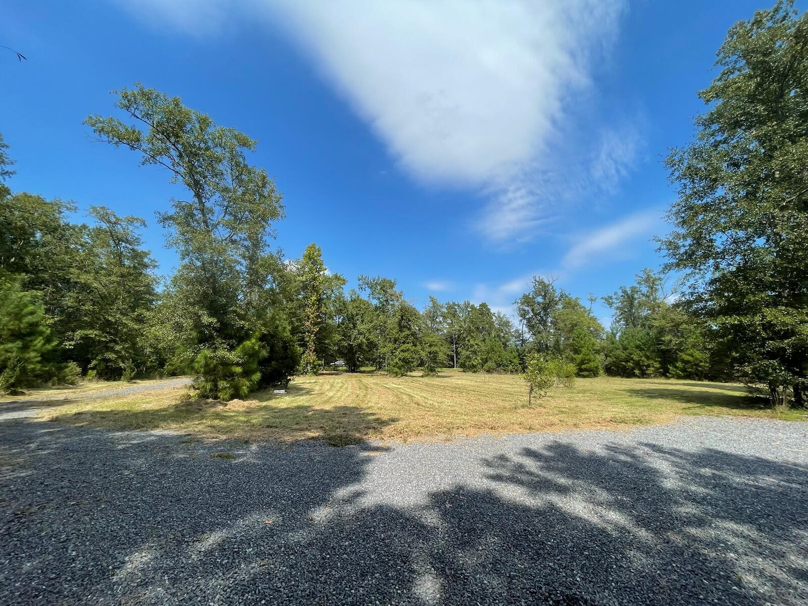 1563 Highway 311 Cross, SC 29436 - Photo 5 of 33 View of front yard from driveway