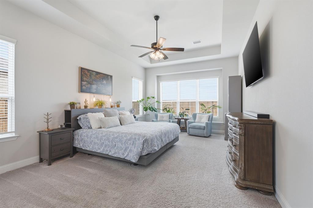 313 Tate Lane Anna, TX 75409 - Photo 13 of 30 Carpeted room featuring a tray ceiling with a ceiling fan, multiple windows with blinds, and a built-in wall-mounted television