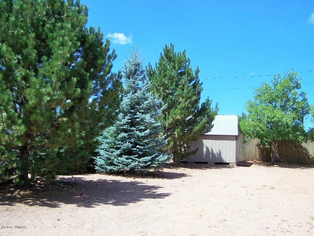 2706 Rustlers Roost Overgaard, AZ 85933 - Photo 1 of 11 Gallery Image 1