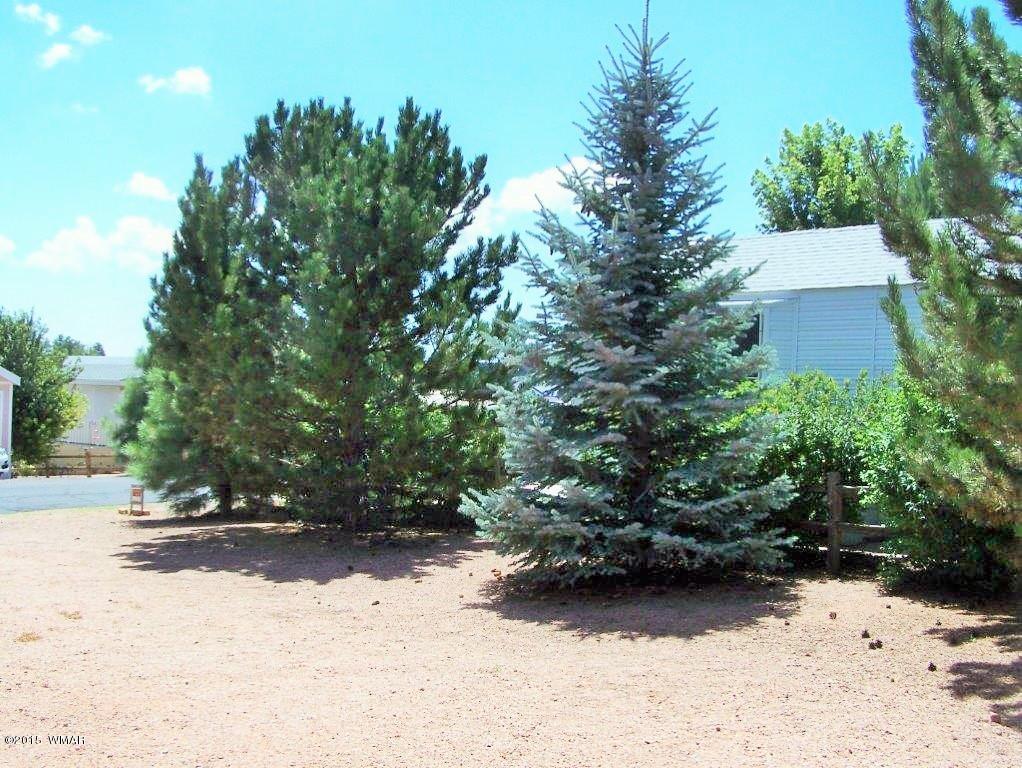 2706 Rustlers Roost Overgaard, AZ 85933 - Photo 4 of 11 Gallery Image 4