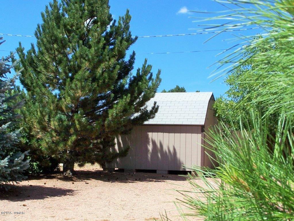 2706 Rustlers Roost Overgaard, AZ 85933 - Photo 9 of 11 Gallery Image 9