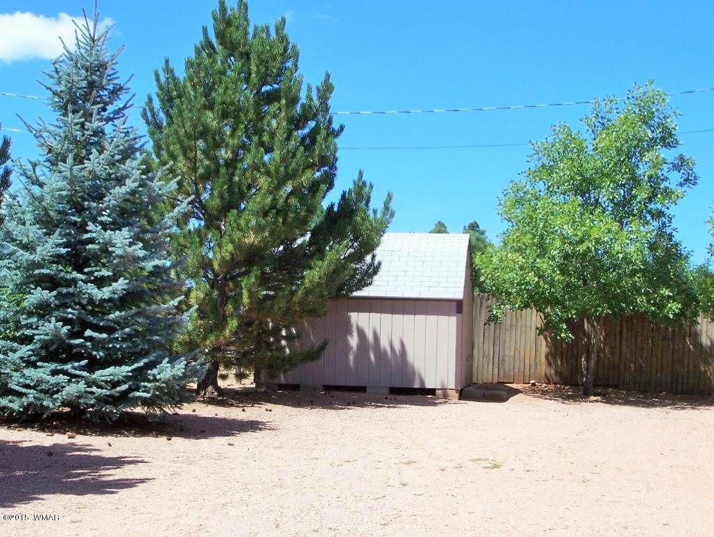 2706 Rustlers Roost Overgaard, AZ 85933 - Photo 10 of 11 Gallery Image 10