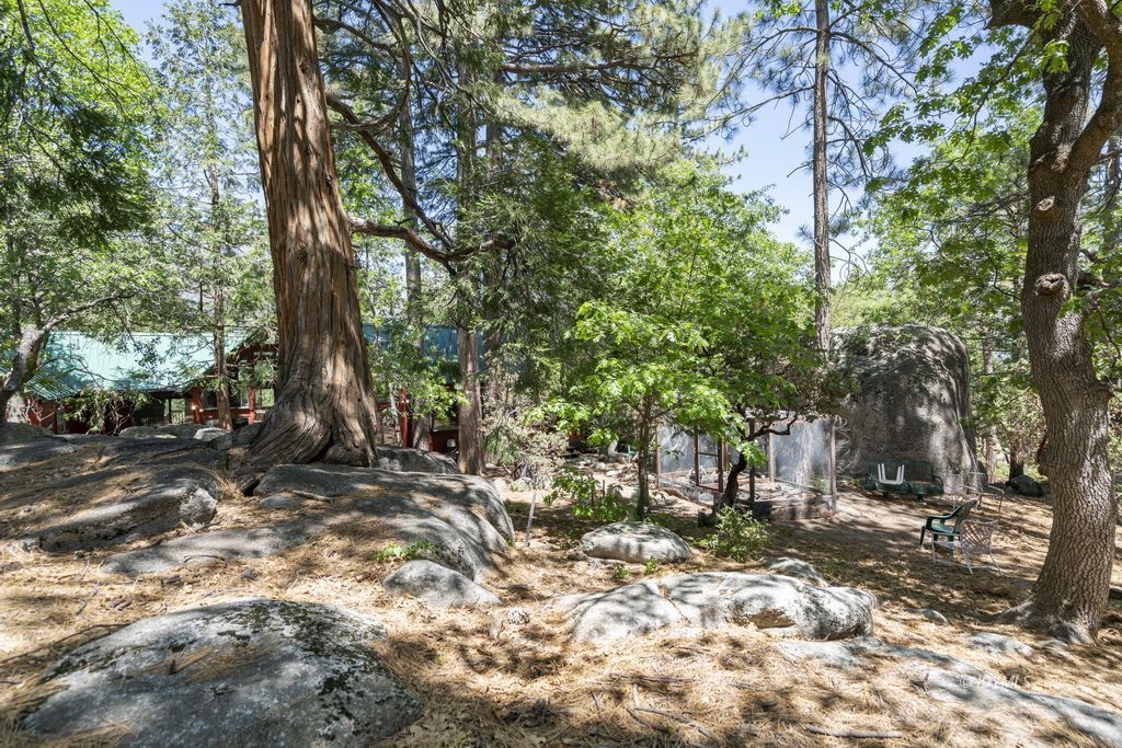 25575 Sunrise Drive Idyllwild, CA 92549 - Photo 33 of 35 a view of outdoor space with trees