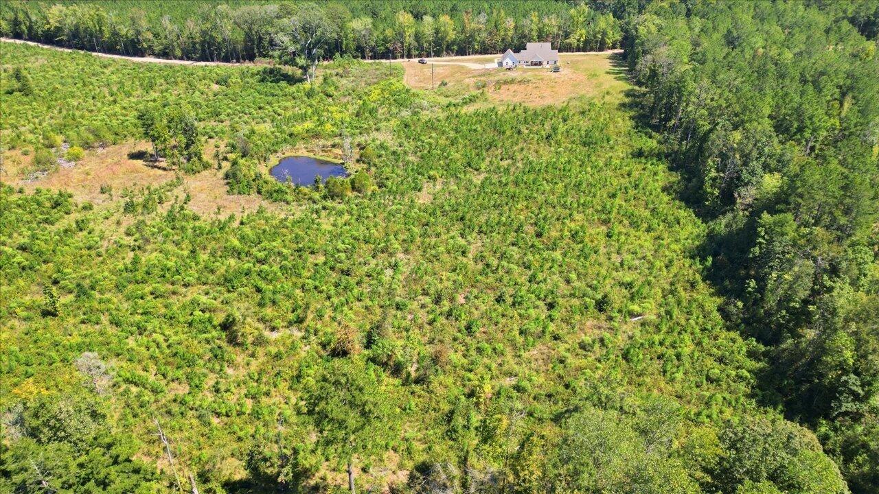 1151 Bushtown Shivers Road Pinola, MS 39149 - Photo 48 of 52 Gallery Image 48