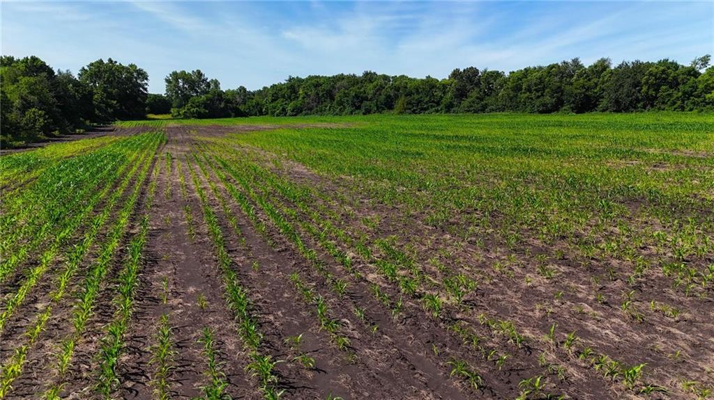235-e 239 East Mopac Rd Street Harrisonville, MO 64701 - Photo 5 of 14