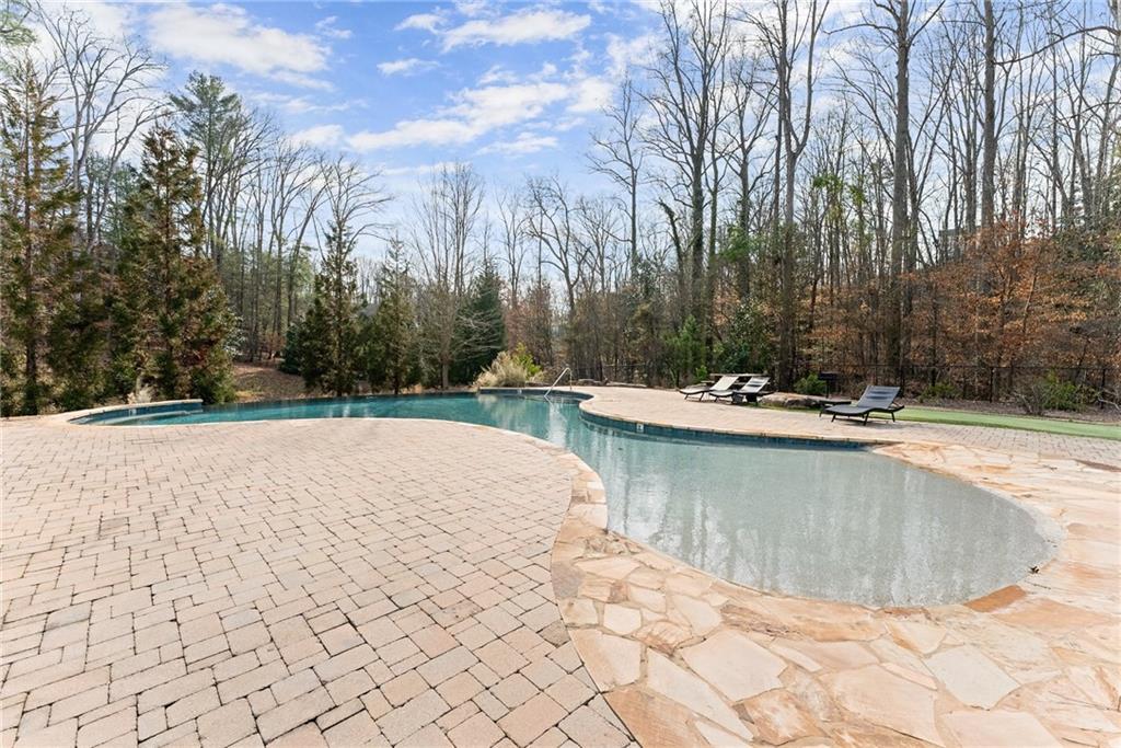 1064 Hartwell Crossing Gainesville, GA 30501 - Photo 7 of 14 a view of swimming pool with trees