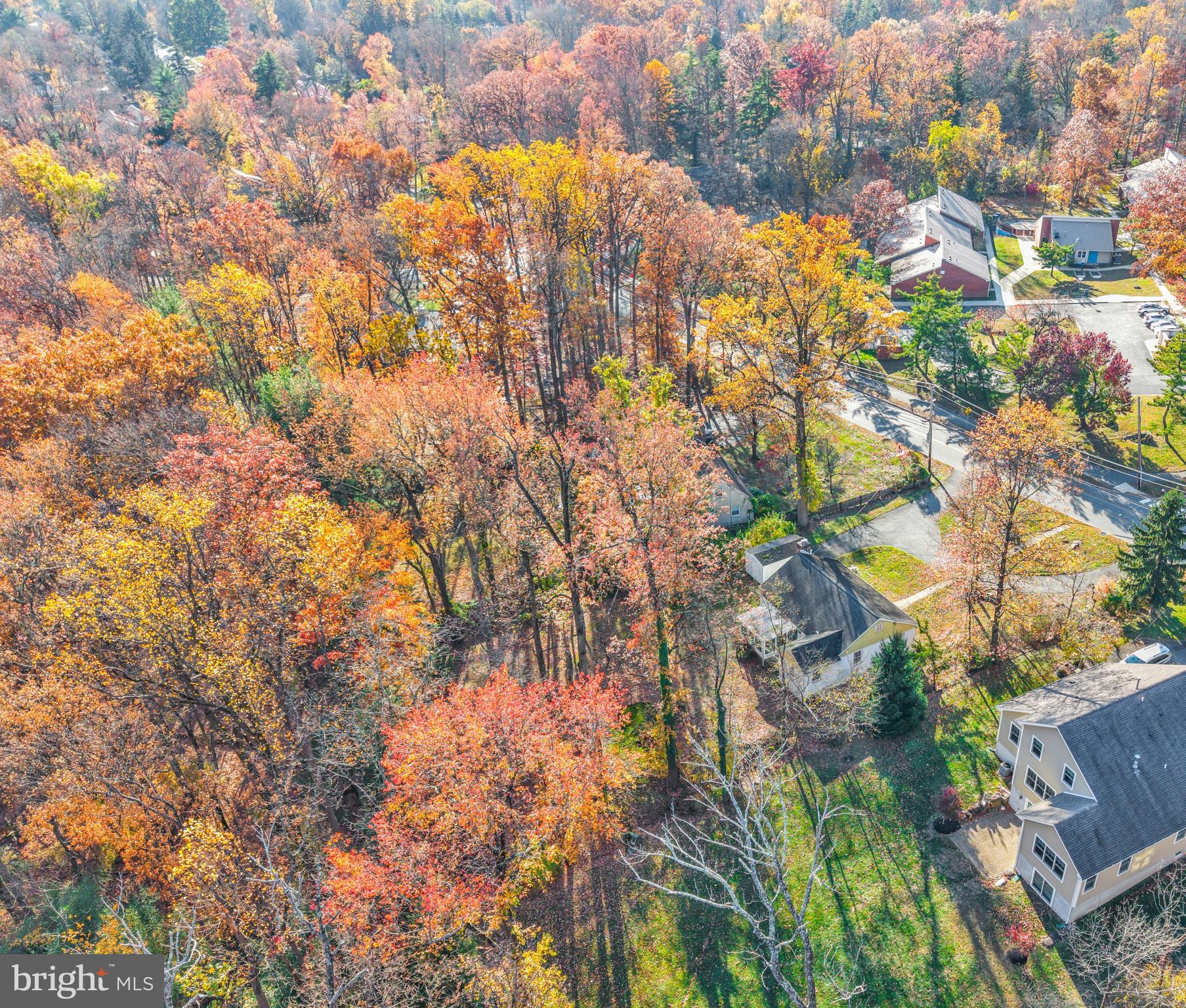 339 Mt Lucas Road Princeton, NJ 08540 - Photo 19 of 21 a backyard of a house