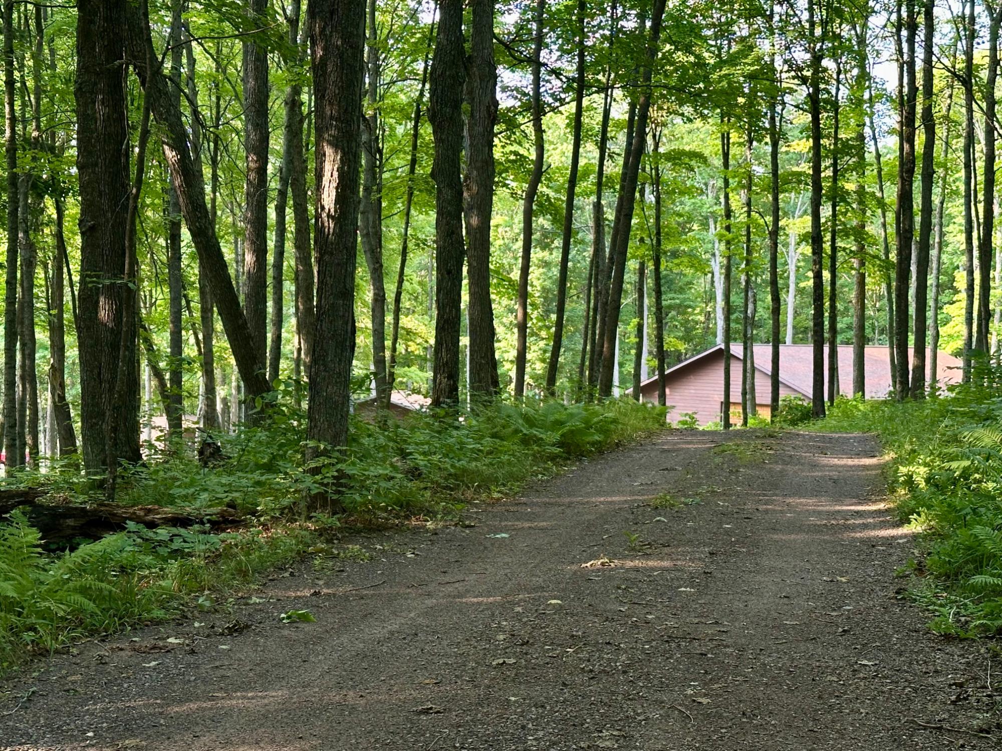 N8997 Shore Road East Marenisco, MI 49947 - Photo 97 of 98 Gallery Image 97