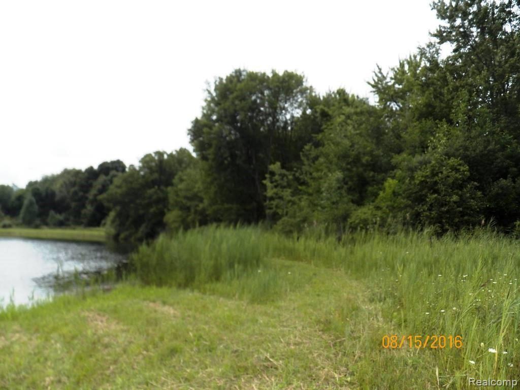 0 Breen Road Emmett, MI 48022 - Photo 3 of 6