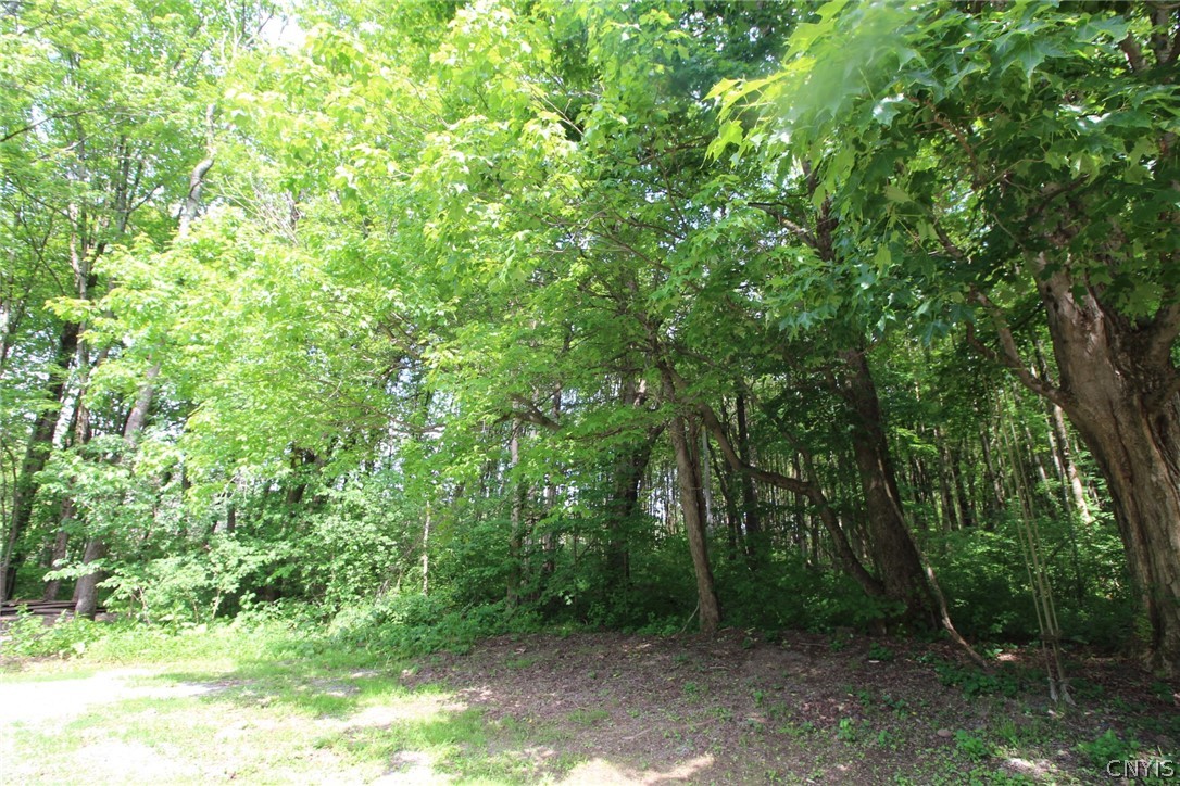 376 County Rte 22 Parish, NY 13131 - Photo 9 of 44