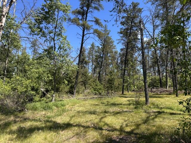 164 West 10 Mile Road Irons, MI 49644 - Photo 25 of 46