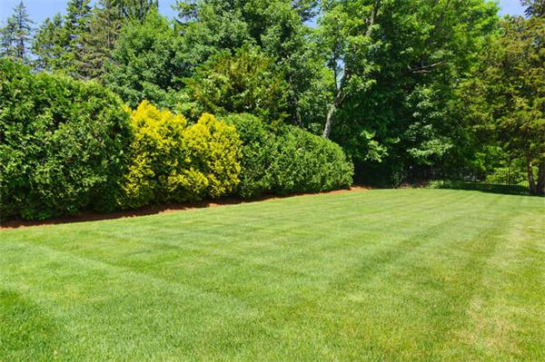 87 Russell Road Framingham, MA 01702 - Photo 25 of 27 Gallery Image 25