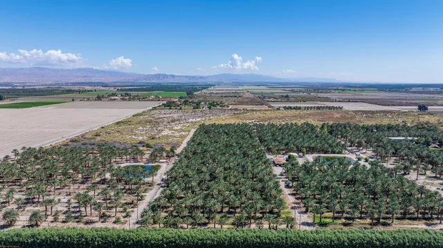 a view of a city with an ocean