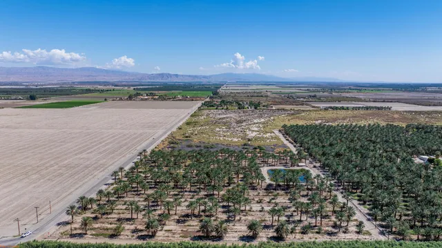 a view of a city with ocean view