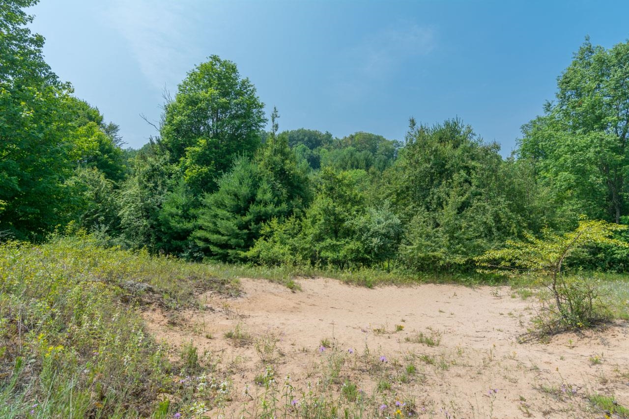 7557 South Schomberg Road Cedar, MI 49621 - Photo 49 of 52